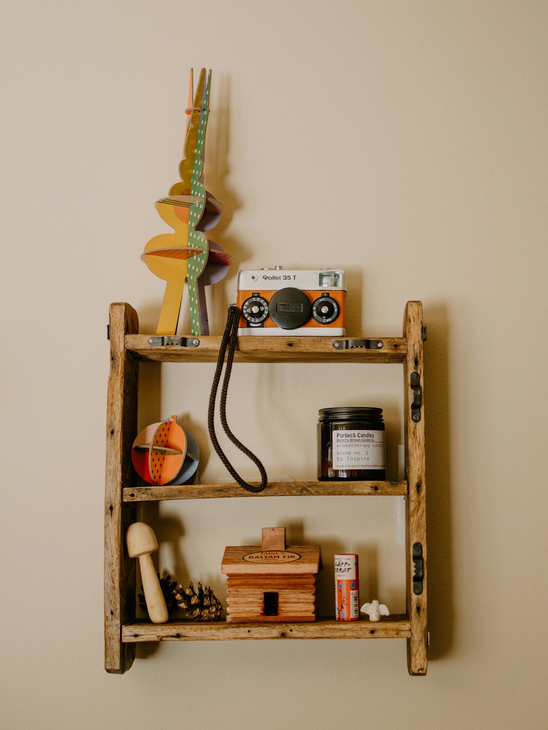 Rustic shelf with vintage camera and home decor.